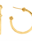 Berry Slice Medium Hoop Earrings - Gold